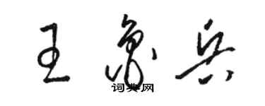 駱恆光王魯兵草書個性簽名怎么寫