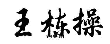 胡問遂王棟操行書個性簽名怎么寫