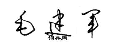 梁錦英毛建軍草書個性簽名怎么寫