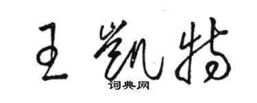 駱恆光王凱特草書個性簽名怎么寫