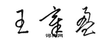 駱恆光王章盈草書個性簽名怎么寫