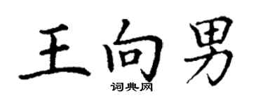 丁謙王向男楷書個性簽名怎么寫