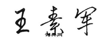 駱恆光王素軍行書個性簽名怎么寫