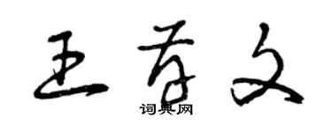 曾慶福王存文草書個性簽名怎么寫