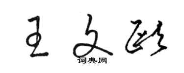 駱恆光王文歐草書個性簽名怎么寫