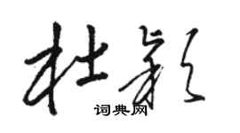 駱恆光杜穎草書個性簽名怎么寫