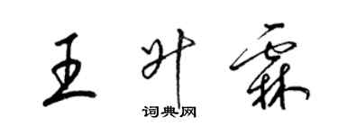 梁錦英王升霖草書個性簽名怎么寫