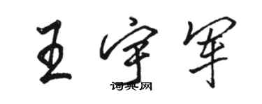 駱恆光王宇軍行書個性簽名怎么寫
