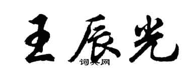胡問遂王辰光行書個性簽名怎么寫