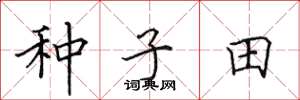 田英章種子田楷書怎么寫