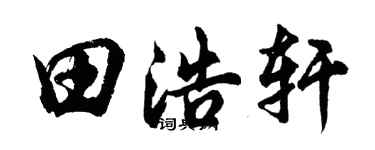 胡問遂田浩軒行書個性簽名怎么寫