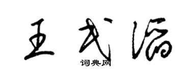 梁錦英王民滔草書個性簽名怎么寫