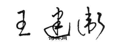 駱恆光王建衛草書個性簽名怎么寫