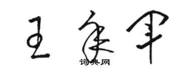 駱恆光王年軍草書個性簽名怎么寫