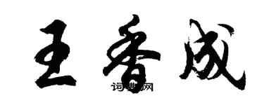 胡問遂王香成行書個性簽名怎么寫