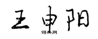 曾慶福王申陽行書個性簽名怎么寫