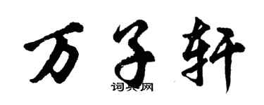 胡問遂萬子軒行書個性簽名怎么寫