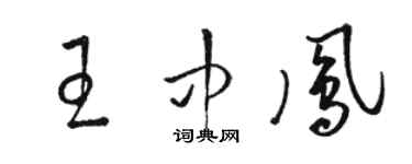 駱恆光王中鳳草書個性簽名怎么寫