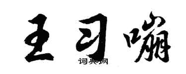 胡問遂王習嘣行書個性簽名怎么寫