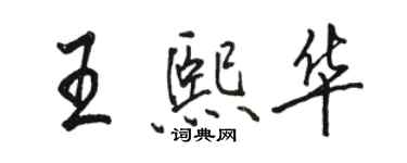 駱恆光王熙華行書個性簽名怎么寫