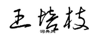 曾慶福王培枝草書個性簽名怎么寫