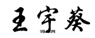 胡問遂王宇葵行書個性簽名怎么寫