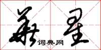 朱錫榮華星草書怎么寫