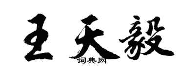 胡問遂王天毅行書個性簽名怎么寫