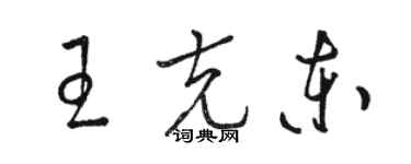 駱恆光王克東草書個性簽名怎么寫