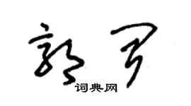 朱錫榮郭聞草書個性簽名怎么寫