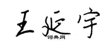 王正良王延宇行書個性簽名怎么寫