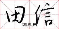 田信怎么寫好看