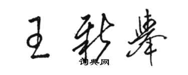 駱恆光王新舉草書個性簽名怎么寫