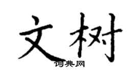丁謙文樹楷書個性簽名怎么寫