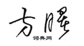 駱恆光方曙草書個性簽名怎么寫
