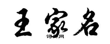 胡問遂王家名行書個性簽名怎么寫