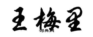 胡問遂王梅里行書個性簽名怎么寫