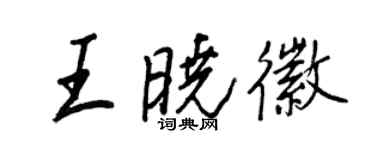 王正良王曉徽行書個性簽名怎么寫