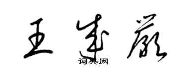 梁錦英王成嚴草書個性簽名怎么寫