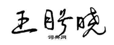 曾慶福王盼曉草書個性簽名怎么寫