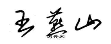 朱錫榮王燕山草書個性簽名怎么寫