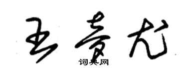 朱錫榮王夢尤草書個性簽名怎么寫