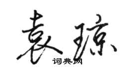 駱恆光袁瓊行書個性簽名怎么寫