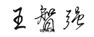 駱恆光王智強行書個性簽名怎么寫