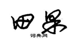朱錫榮田果草書個性簽名怎么寫