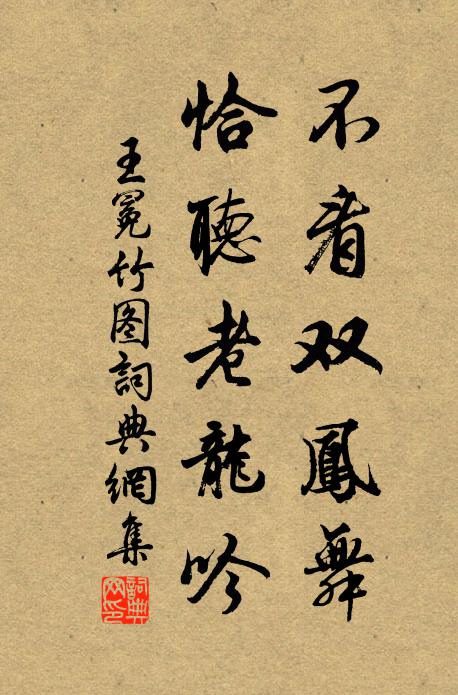 王冕不看雙鳳舞,恰聽老龍吟書法作品欣賞