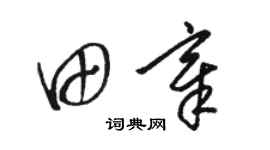 駱恆光田章草書個性簽名怎么寫