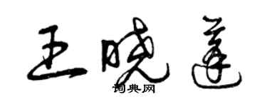 曾慶福王曉蓬草書個性簽名怎么寫