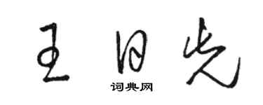 駱恆光王日先草書個性簽名怎么寫