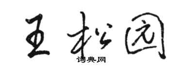 駱恆光王松園行書個性簽名怎么寫